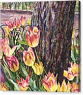 Tulips On The Mall Canvas Print