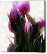 Tulips Canvas Print