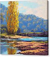 Tumut River Poplar Canvas Print