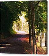 Tunnel Of Trees Canvas Print