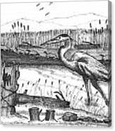 Turtles And Heron Canvas Print