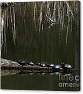 Turtles In Cuyahoga Valley National Park Canvas Print