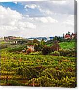 Tuscany Italy Vineyard And Countryside Canvas Print