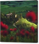 Tuscany - Spring Blossoms Canvas Print