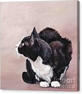 Tuxedo Cat Bird Watcher Canvas Print