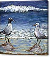 Two Birds With Foam Canvas Print
