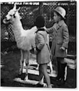 Two Children Patting A Llama Canvas Print