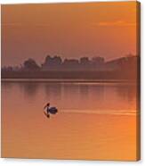 Two Pelicans At Sunrise Canvas Print