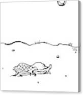Two Turtles Crawling Across A Barren Landscape Canvas Print