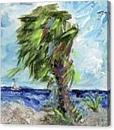 Tybee Palm Mini Series 1 Canvas Print