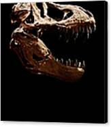 Tyrannosaurus Rex Skull 1 Canvas Print