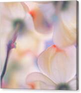 Under The Skirts Of Flowers Canvas Print