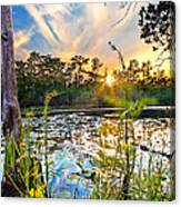 Yellow Wild Flowers Swamp Sunset Blue Sky Reflection Art Prints Canvas Print