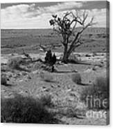 Utah Lone Tree Canvas Print