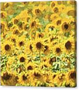Van Gogh Sunflowers Canvas Print