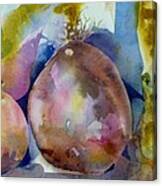 Veggie Still Life Canvas Print