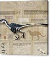 Velociraptor Infographic Canvas Print