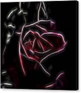 Velvet Rose 2 Canvas Print