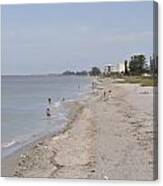 Venice Beach Canvas Print