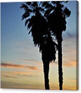 Ventura Palm Sunset Canvas Print