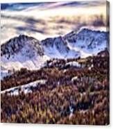 Ventured Up Into The #highcountry Canvas Print