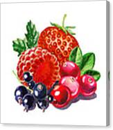 Very Very Berry Canvas Print