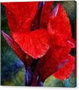 Vibrant Canna Bloom Canvas Print