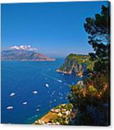 View From Capri Canvas Print