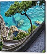 View From Capri.italy Canvas Print