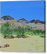 View From Sharon's House - Mojave Canvas Print