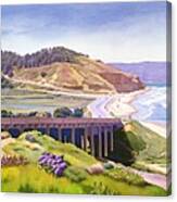 View Of Torrey Pines Canvas Print