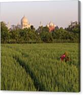 View Over Fields To Taj Mahal Canvas Print
