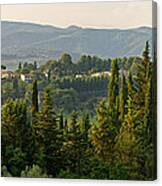 Village And Cypresses Canvas Print