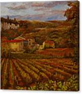 Vineyard Canvas Print