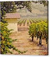 Vineyard Tool Shed Canvas Print