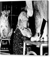 Vintage Circus Lion Love Canvas Print