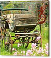 Vintage Horse Carriage In A Flower Bed Canvas Print