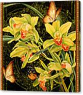 Vintage Iris And Butterflies Canvas Print
