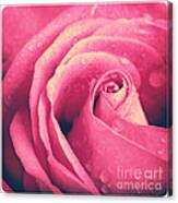 Vintage Rose Photo Canvas Print