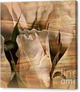 Vintage Water Rose Abstract Canvas Print