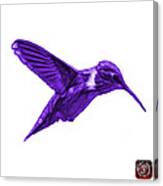 Violet Hummingbird - 2054 F S Canvas Print