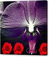 Violette And Roses Canvas Print