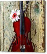 Violin On Old Door Canvas Print