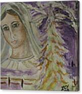 Virgin Mary At Medjugorje Canvas Print