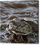 Voracious Crocodile In Water Canvas Print