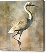 Wading Egret Canvas Print