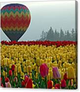 Waiting For Lift Off Canvas Print