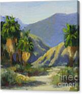 California Palms In The Preserve Canvas Print