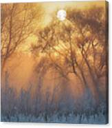 Warm And Cold Canvas Print