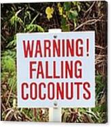 Warning Falling Coconuts Canvas Print